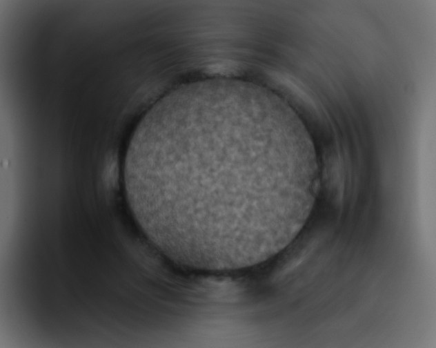 X0000092090502200710031157