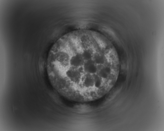 X0000092090503200710031157