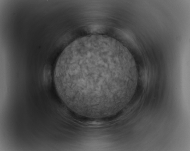 X0000092090506200710031157