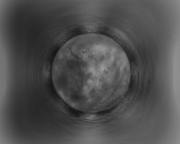 X0000092090507200710031157