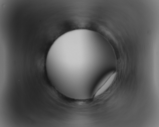 X0000092090509200710031156