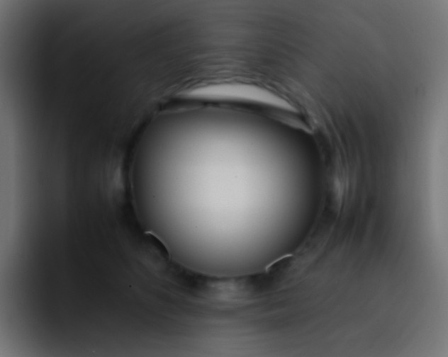 X0000092090516200710031156