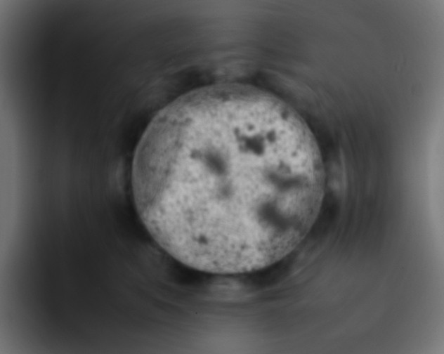 X0000092090519200710031156