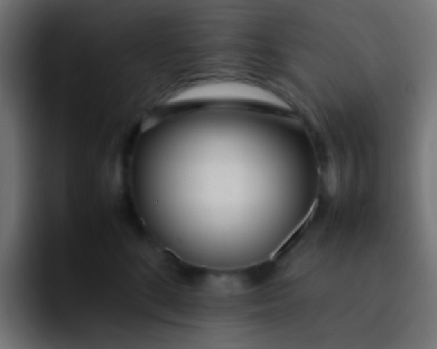 X0000092090520200710031156