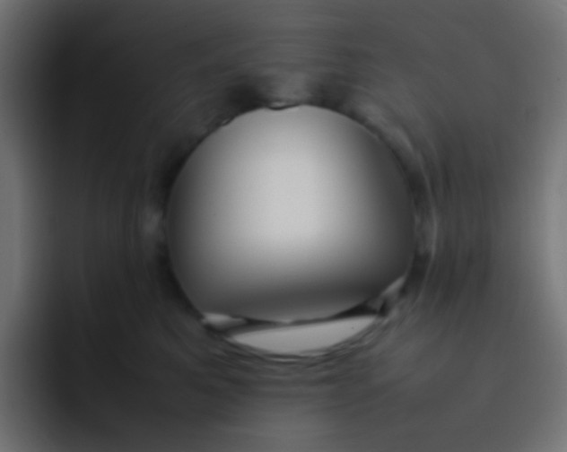 X0000092090521200710031156