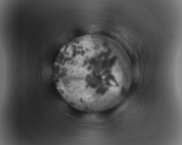 X0000092090523200710031156