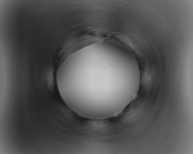 X0000092090524200710031156