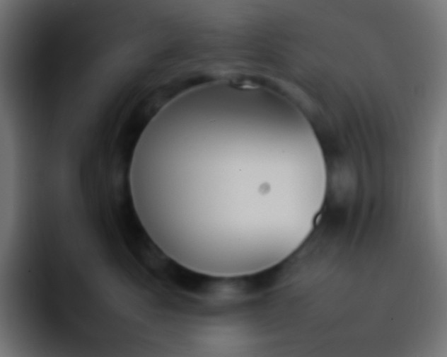 X0000092090525200710031156