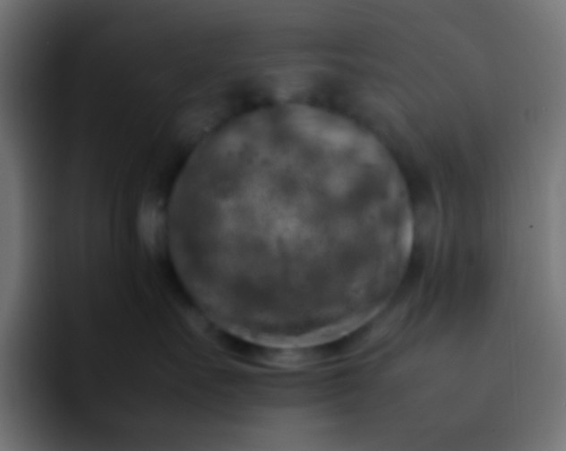 X0000092090527200710031156