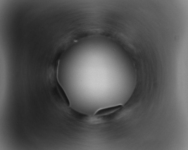 X0000092090528200710031156