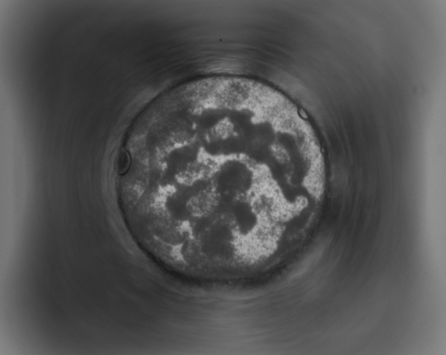 X0000092090529200710031156