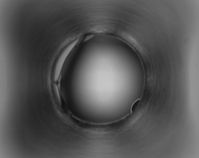 X0000092090530200710031156