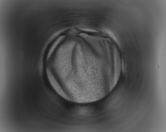 X0000092090531200710031156