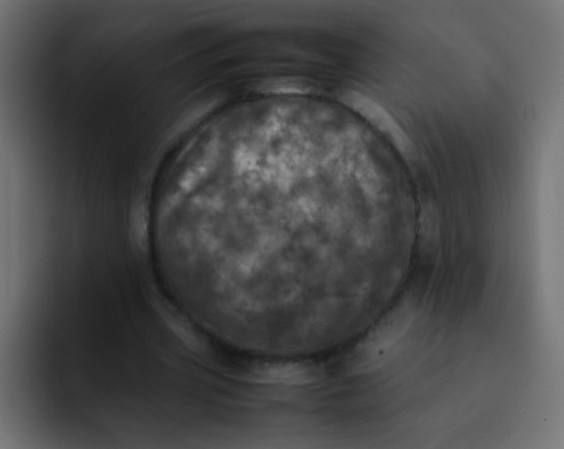 X0000092090533200710031156