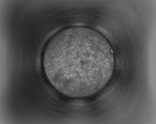 X0000092090535200710031156