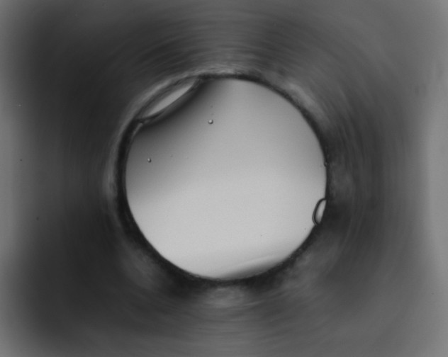 X0000092090536200710031156