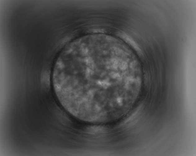 X0000092090537200710031156