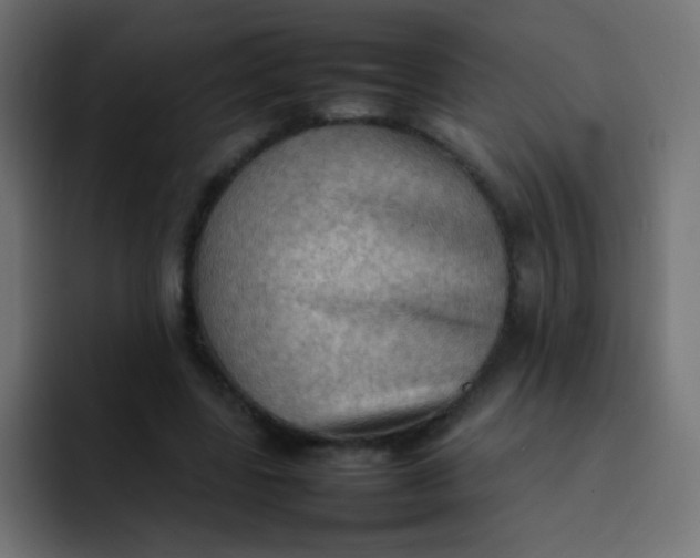 X0000092090539200710031156