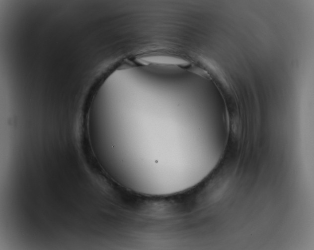 X0000092090540200710031156