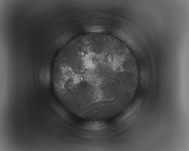 X0000092090541200710031156