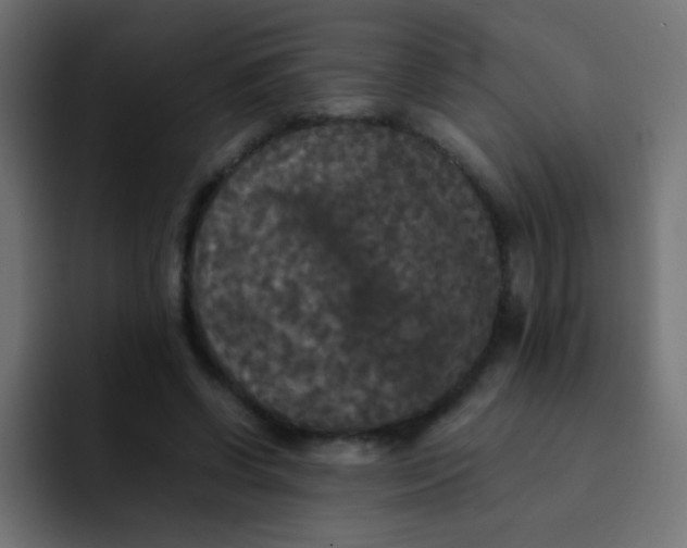 X0000092090542200710031156