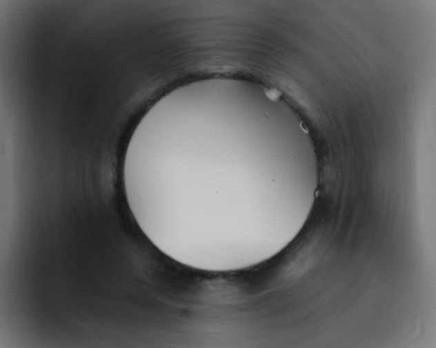 X0000092090544200710031156