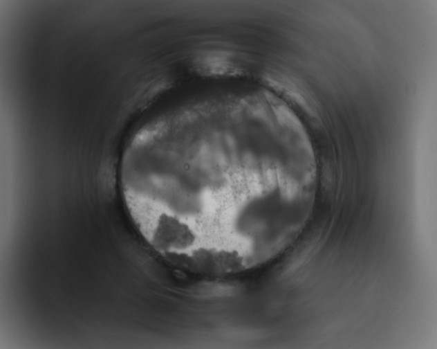 X0000092090545200710031156