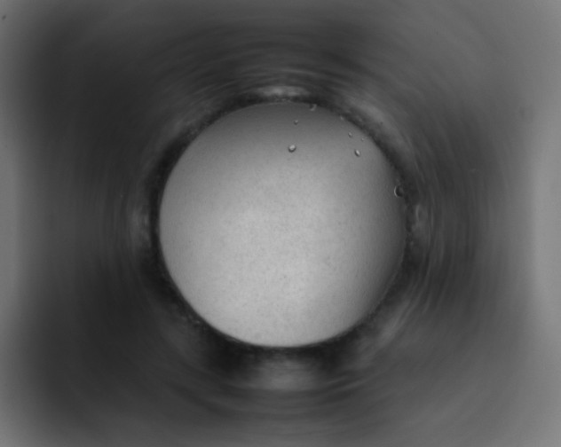 X0000092090547200710031156