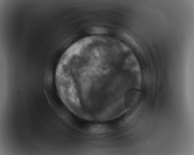 X0000092090549200710031156