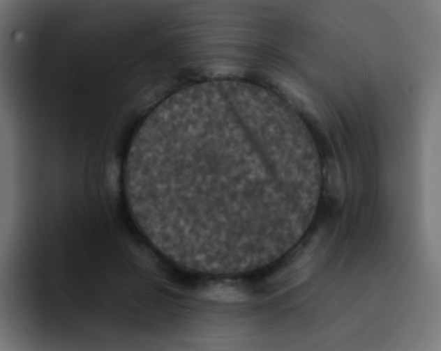 X0000092090550200710031156