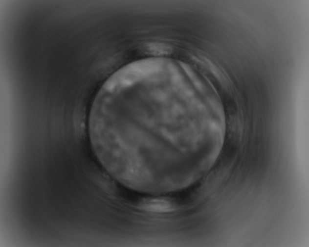 X0000092090553200710031156