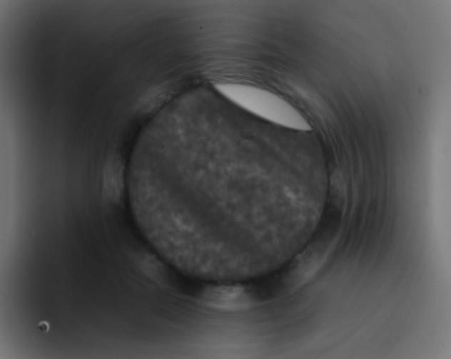 X0000092090554200710031156