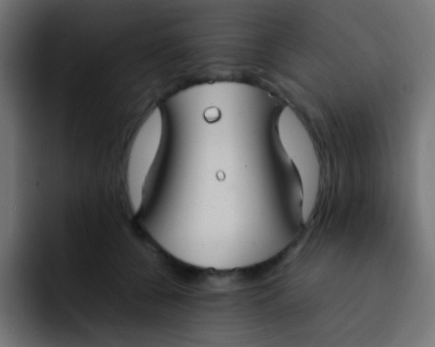 X0000092090560200710031156