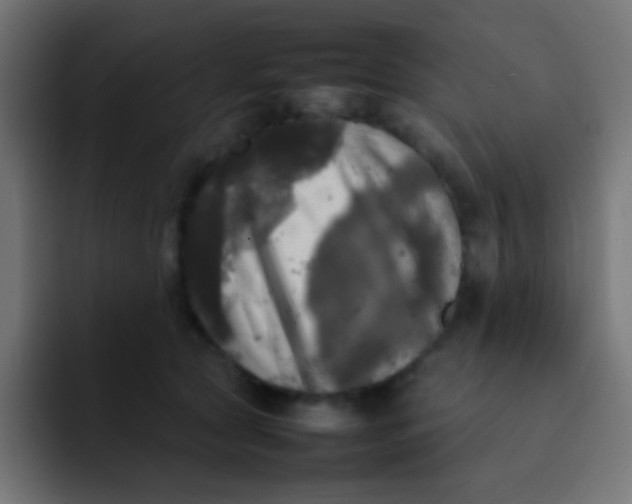 X0000092090561200710031156