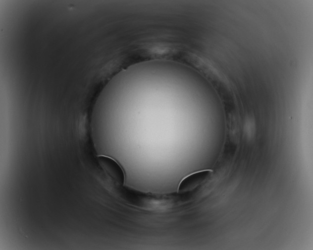 X0000092090563200710031156