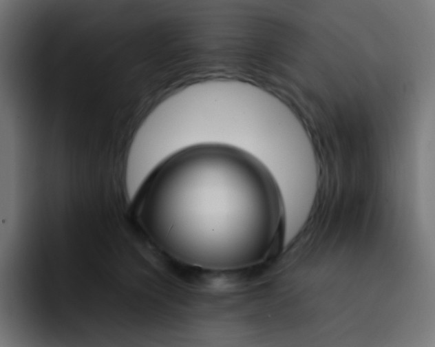 X0000092090564200710031156