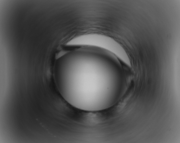 X0000092090566200710031156