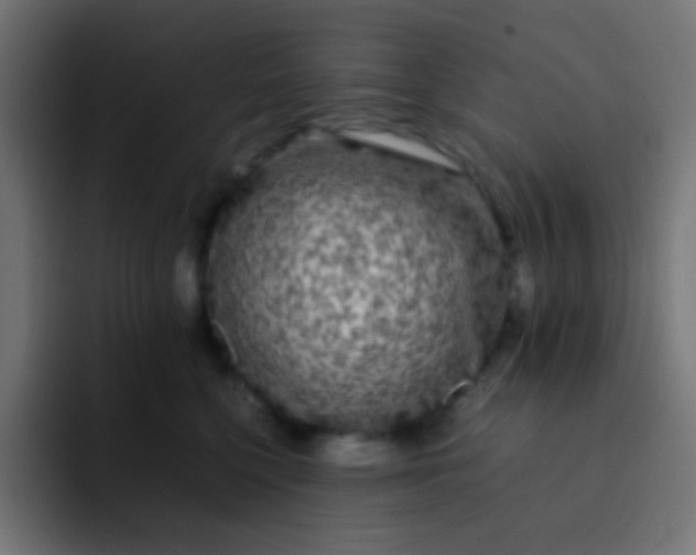 X0000092090568200710031156