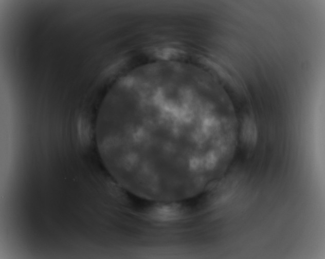 X0000092090569200710031156