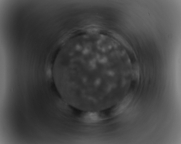 X0000092090573200710031156