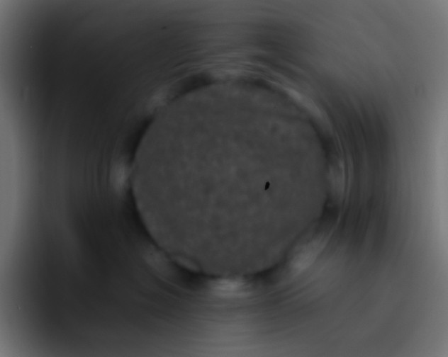 X0000092090574200710031156