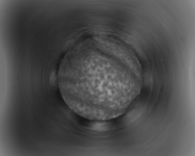 X0000092090575200710031156