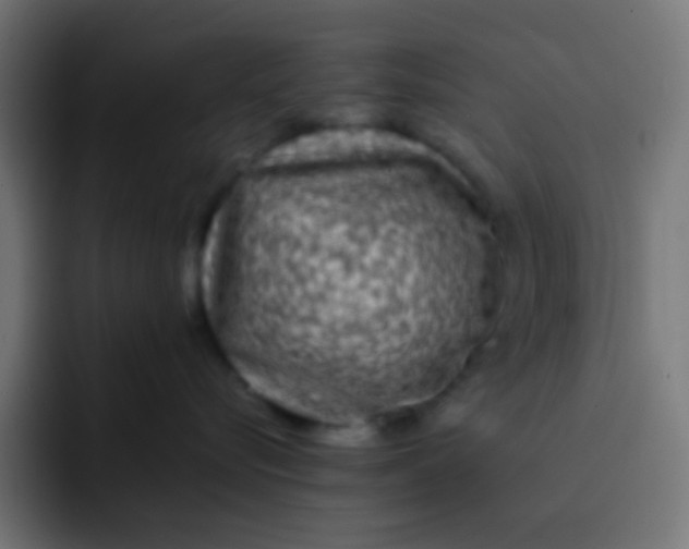 X0000092090576200710031156