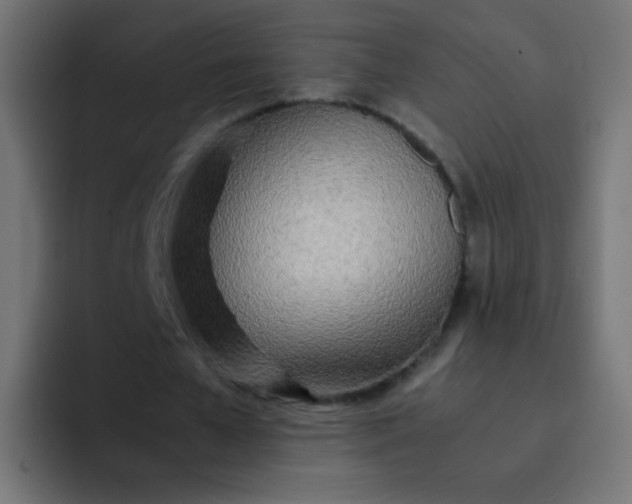 X0000092090577200710031156