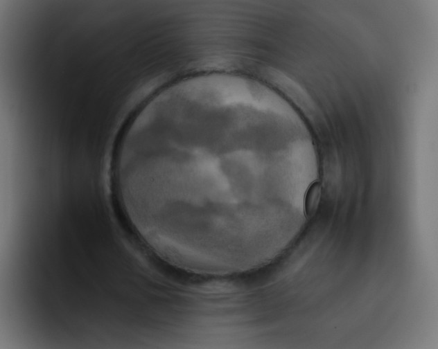 X0000092090578200710031156