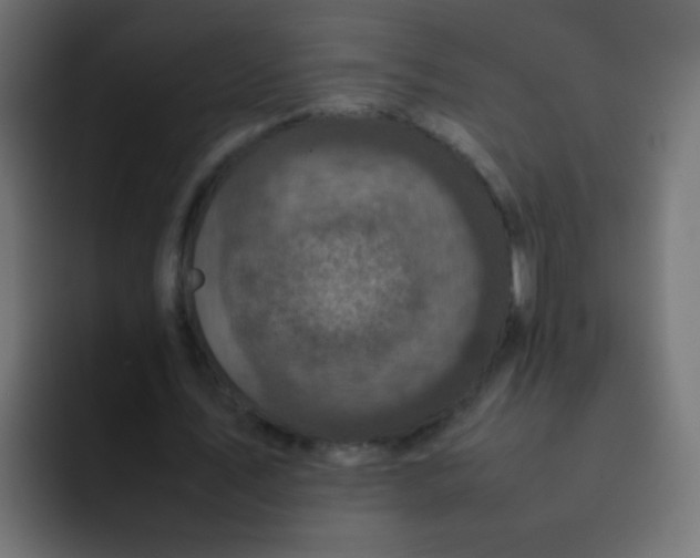 X0000092090579200710031156