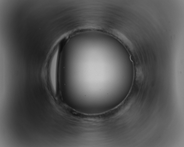 X0000092090580200710031156