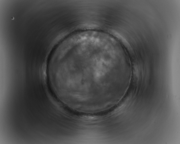 X0000092090582200710031156