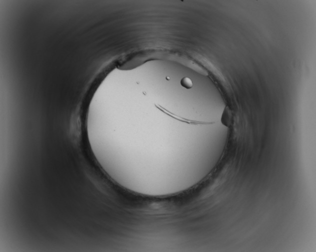 X0000092090584200710031156