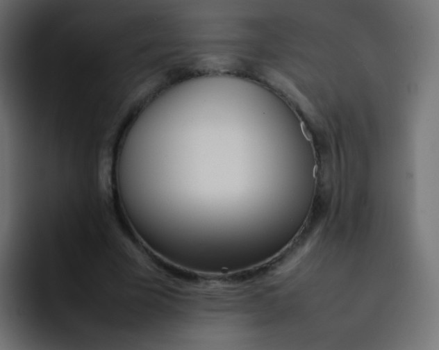 X0000092090585200710031156